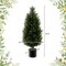 Costway 1/2 Pack 37.5" Artificial Topiary Cedar Tree with Cement Plastic Pot & Realistic Moss